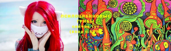 ПСИЛОЦИБИНОВЫЕ ГРИБЫ Бугульма